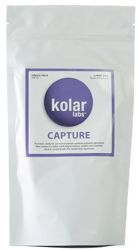 Kolar Labs Capture Large 1 Pack